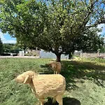 샬레 Kutnohorska Vyhlidka 쿤타호라